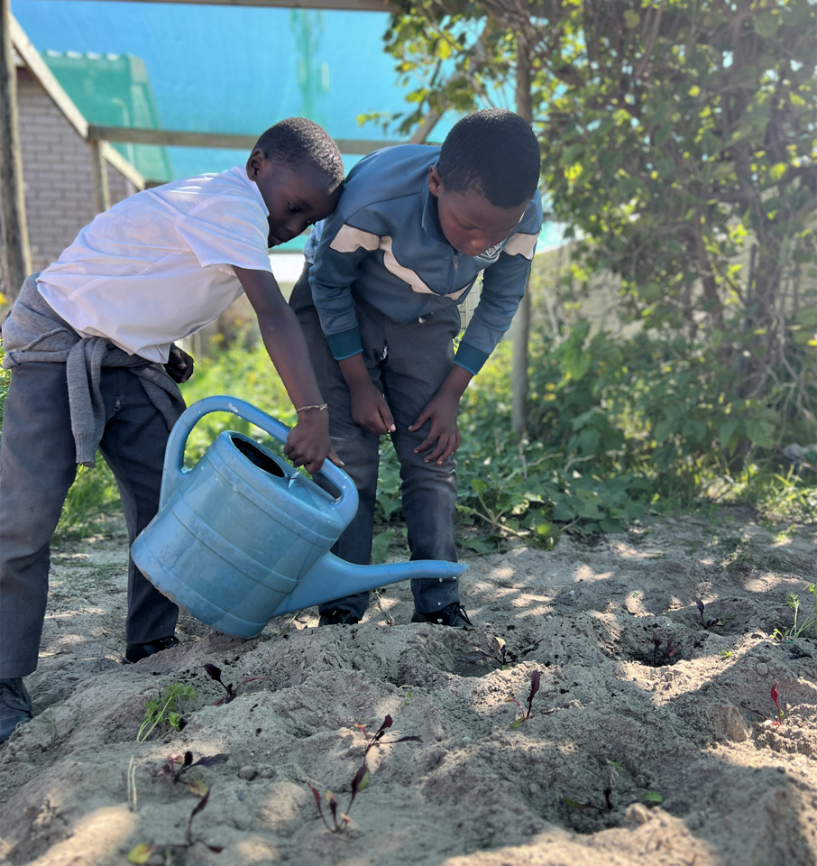 Vegetable Garden Watering